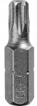 Bit końcówka Proline Torx Security 25mm T25 10 szt Oferta